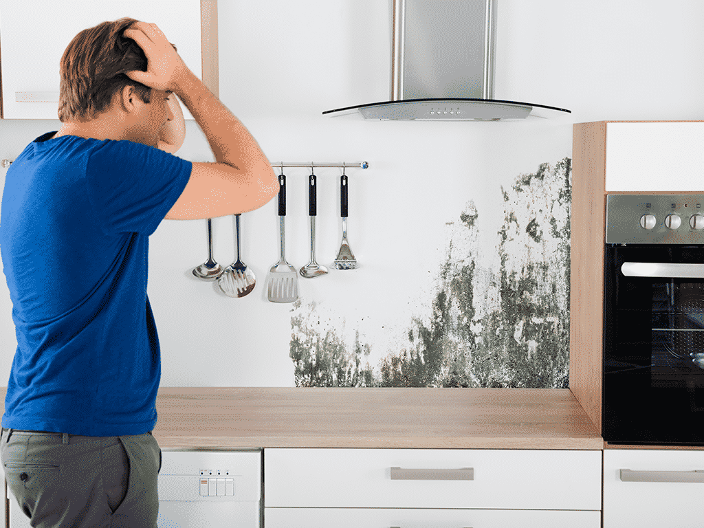 Spécialiste d'humidité de maison à Amiens 