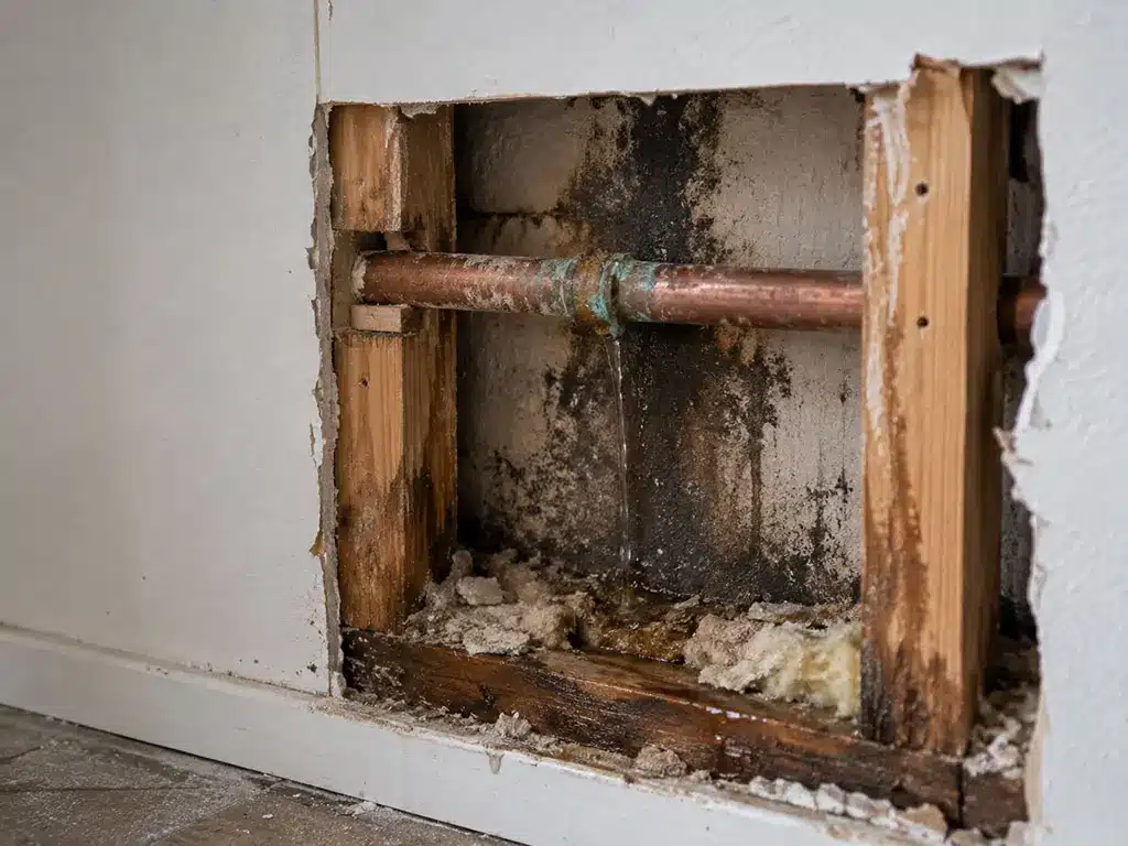 Fuite lente sur une canalisation encastrée dans une cloison