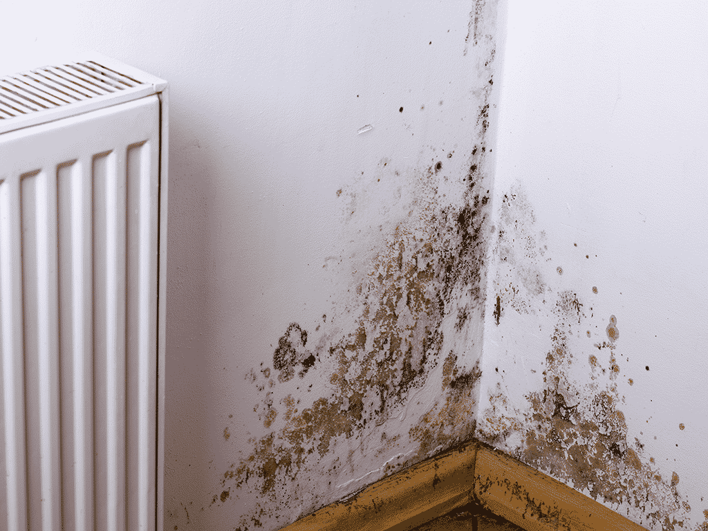 vice cach&eacute; maison infiltration d'eau dans la Somme 